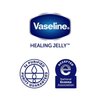 Vaseline 100% Pure Petroleum Jelly, 1.75 Oz / 49 Gr Jars (Pack of 3)