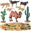 MiniInflat 25 Pcs Desert Animals Figurines Set Model Trees Kit Desert Diorama Supplies Animals Figures with Tree and Cactuses Figurines Resin Insects for Kids Birthday Party Favors School Projects