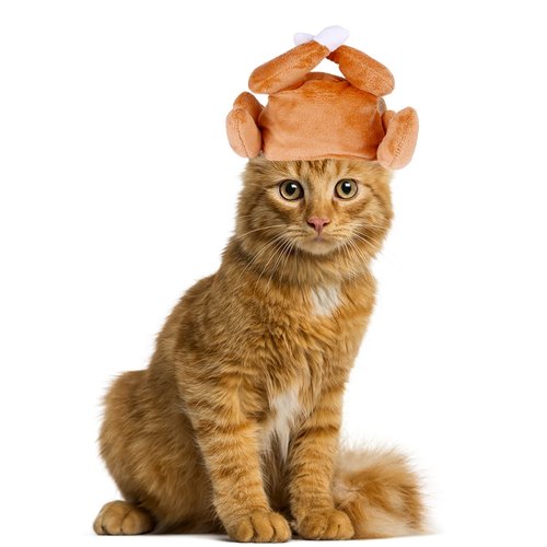 Cat Thanksgiving Costume Turkey Drumstick Hat Small Dog Kitten Hat for Cosplay Accessories and Party Favors