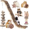 Hamster Toy Hamster Accessories Guinea Pig Chew Toy Hamster Suspension Bendy Long Bridge Toy Chinchilla Cage Accessories Willow Ball Play Set Stuff for Dwarf Syrian Chinchillas Gerbils Mice Mouse