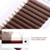 Y Lashes Extensions Colored YY Lashes Premade Fans Brown Eyelash Extensions D Curl 0.07mm 8-15mm Mixed Tray Y Shape Easy Fan Volume Lashes Supplies (YY-0.07-D,Brown)