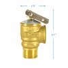 HYDRO MASTER Safety Relief Valve With 3/4 Inch Thread 30 PSI ASME Hot Water (30 PSI)