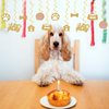 Puppy Dog Party Decoration Let's Pawty Birthday Party Streamers Dog Paw Bday Party Hanging Swrils Decoration 24pcs Party Decor Banner Supplies, Assembled and Ready to Use