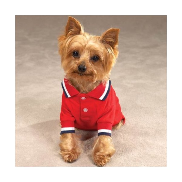 Classic Nautical Polo Shirt