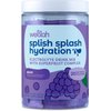 Wellah Splish Splash Hydration (Grape Flavor) 20 Stick Packs - Electrolyte Drink Mix with Superfruit Complex