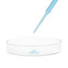EISCO Petri Dish, 3.93" (100mm) - Beaded Edges Easy to Sterilize for Repeated Use Borosilicate Glass- Eisco Labs