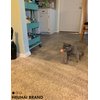 HEUHAI Cat Toys - 15 Diverse Cat-Themed Toys for Engaging and Stimulating Your Feline's Playful Instincts with Interactive and Self-Play Options