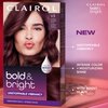 Clairol Bold & Bright Permanent Hair Dye, 53 Dulce de Leche Hair Color, Pack of 1