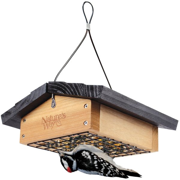 Nature's Way Bird Products CWF2 Cedar wood Suet Upside-Down Bird Feeder, 8.5"L x 8.5"W x 4.13"H, Black