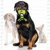 TUFFY - World's Tuffest Soft Dog Toy - Alien G3 Green - NO Squeakers - Multiple Layers. Made Durable, Strong & Tough. Interactive Play (Tug, Toss & Fetch). Machine Washable & Floats