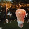 WBM Smart E26 Smart Led Light Bulb ,Dimmable Led Salt Light Bulb 7 Watt Indoor Himalayan Pink Salt Bulb 4 Count(Pack of 1)