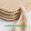 Natural Loofah Sponge Exfoliating Body Scrubber (3 Pack),Loofah Dish Sponge, Natural compostable loofah Plant, Shower Scrub, Remove Dead Skin loofah, Durable, Beige