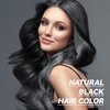 JIESSIA Black Hair Dye Shampoo 3 IN 1, Hair Color Shampoo for Gray Hair Coverage For Women & Men Natural Herbal Plant Semi Permanent Grey Hair Cover Treated, 16.9 Fl Oz