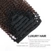 ABH AmazingBeauty Hair 3C 4A Kinkys Curly Ombre Hair Extensions Double Weft Real Remy Human Hair for African American, Natural Black Fading into Chocolate Brown Two Tone Color TN-4, 18 Inch