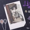 Bememo 2040 Pieces Photo Corners Stickers for Photo Album Scrapbook (Black and Transparent)