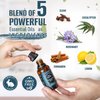 Natural Riches Five Guards Essential Oil Blend Health Shield for Aromatherapy with Clove Cinnamon Lemon Rosemary Eucalyptus Oil 2oz