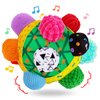 teytoy Baby Sensory Music Shake Dancing Ball Toy for Toddlers 1-3,Sensory Bumble Ball Toy for Kids, Montessori Sensory Toys Bouncing Toddler Ball Learning Toys Gifts for 1 Year Old Up