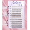 Saibinuo 240pcs Mixed Pack C Curl False Eyelash Extension Individual Lashes Lower Bottom Lash (5-6mm) Fairy Style A Shape (10-12mm) Fish Tail (9-11mm) Natural Clusters, 240 Count (Pack of 1).