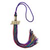 Endea Graduation Double Color Tassel with Gold Date Drop (Rainbow, 2023)