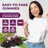 Pomona Wellness Elderberry Gummies with Zinc and Vitamin C for Immune Support 3-1 Chewable Black Elderberry Gummy Supplement for Kids and Adults, Vegan, 90 Gummies