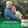 Zazzee Extra Strength French Maritime Pine Bark 20:1 Extract, 350 mg Per Capsule, 60 Vegan Capsules, 95% Proanthocyanidins, Kosher, 2 Month Supply, Standardized 20X Extract, Non-GMO, Made in The USA