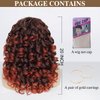 GKtineke-Curly-Wig Big-Curly-Wigs-for-White-Black-Women 20 Inch- Long-Curly-Afro-Wig-with-Bangs Synthetic-Hair-Replacement-Wigs-for- Cosplay and Daily(Ombre Ginger