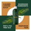 Invigorating Tea Tree Mint Shampoo - Rosemary Mint Shampoo for Oily Hair with Tea Tree Oil for Hair - Aromatherapy Clarifying Shampoo for Build Up Dry Scalp and Flakes with Essential Oils for Hair