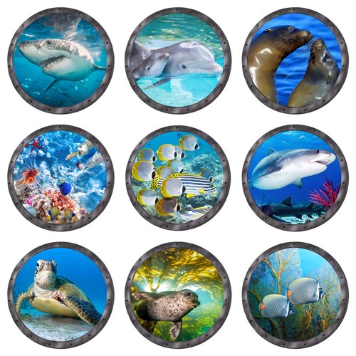 Ocean Animal Wall Decals 11 Inch Porthole Design Set for Nursery/Classroom- Easy Apply & Durable Adhesive (Set of 9)