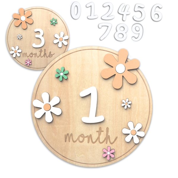 Baby Monthly Milestone Cards, Wooden Baby Milestone Discs, Newborn Photography Props, Baby Shower Gifts