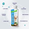 Spa Synergy Pet Dog Shampoo Natural Dead Sea Mineral Rich, Aloe Vera, Moisturizing, Cleansing, Refreshing, pH Balanced, Hydrating - No Tears Puppy - (1) Bottle 16.5 FL OZ