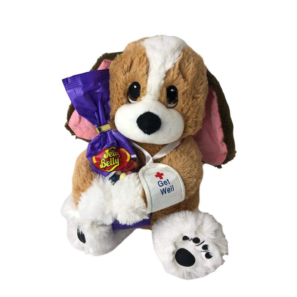 Get Well Gift Basket Care Package For Kids Melancholy Mel Broken Arm Dog