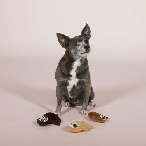Fringe Studio Pet Toy, Small Dog Toy Set, Sloth Themed, 3 Pieces (289406)