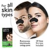Global Beauty Care 18 Nose Cleansing Strips of Activated Charcoal & Tea Tree Nose Strips For Blackheads Removal Charcoal Blackhead Remover Strips - 18 Ct