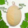 TEXNINC 3 Pack Natural Loofah Bath Exfoliation Body Scrubber & Shower Sponge, Eco-Friendly Biodegradable Exfoliating Scrubber for Women & Men, Beige