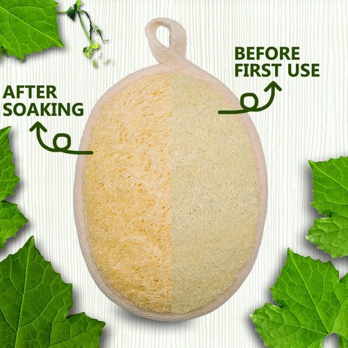 TEXNINC 3 Pack Natural Loofah Bath Exfoliation Body Scrubber & Shower Sponge, Eco-Friendly Biodegradable Exfoliating Scrubber for Women & Men, Beige