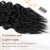 REECHO Hair Extensions, 4PCS Clip in Hair Extensions HE001 Natural Soft Synthetic Hairpieces for Women, Black