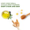 WBM Care Natural Baby Body Wash With Honey, Wheatgerm And Organic Olive Oil - Nourishes Baby Skin | 10 Oz