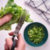Jenaluca Herb Scissors with 5 Blades and Safety Cover - Salad Scissors - Cut, Chop & Mince Fresh Herbs & Leafy Greens - Stainless Steel Kitchen Shears with Cleaning Comb - Cool Kitchen Gadgets (Green)