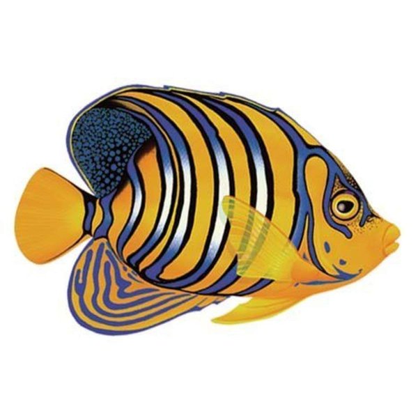 Regal Angelfish Porcelain Swimming Pool Mosaic (5" x 3")