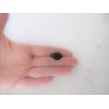 Set of 2 extra tiny small black filigree metal alligator hair clip for fine (Primary color: Silver)