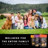 BeePower All Natural Manuka Honey Lozenges | Cough Drops For Soothing Dry, Sore Throat | Contains 40 Lozenges Ginger Lemon Flavor | MGO 500+ 6.7 Oz