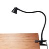 CeSunlight Clamp Desk Lamp, Clip on Reading Light, 3000-6500K Adjustable Color Temperature, 6 Illumination Modes, 10 Led Beads (Black)