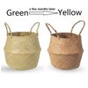 BrilliantJo Seagrass Belly Basket, Set of 2 Woven Plant Pot Holder handmade Home Decor for Storage Plants Picnic Grocery Medium(10.63 x 9.44 inch)