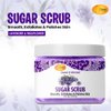 SPA REDI Sugar Scrub - Lavender and Wildflower - 16 Oz - Exfoliating, Moisturizing, Hydrating and Nourishing, Glow, Polish, Smooth and Fresh Skin - Body Exfoliator