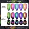 6Pcs Cat Eye Magnet Nail Polish Set, Rainbow Nail Polish Set, Cateye Gel Nail Polish Gift kit, Long Lasting Nail Polish for Women, Liquid Shiny Gel Polish, Bright Color Gel Nail Polish