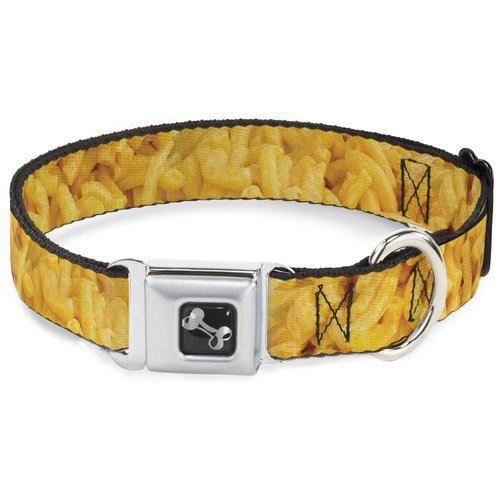 Buckle-Down Dog Collar Seatbelt Buckle Mac Cheese Vivid, Multicolor, 1" Wide - Fits 11-17" Neck - Medium (DC-W33926-M)