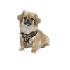 Zack & Zoey Zebra or Leopard Print Soft Plush Dog Harness Durable Reliable Walk Safety(XSmall Leopard Print)