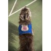 Registered Service Dog Vest - for Smaller Service Dogs (XX Small: 4-7 Pounds, Red) - Includes 5 Federal Law Cards