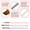 MAYCHAO Nail Art Brushes Set, Nail Art Design Pen Painting Tools with Nail Extension Gel Brush, Nail Art Liner Brush and Nail Dotting Pen for Gel Polish Manicure Salon DIY at Home (5 Pcs)