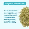 VoomVaya TeaTox Booster Senna Tea - 14-Day Detox Tea for Bloating Relief, Detox Cleanse, Mood Boost - Hibiscus Flavor
